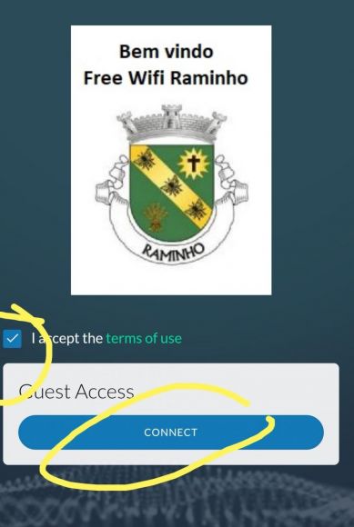 Reparação do Free Wifi Raminho